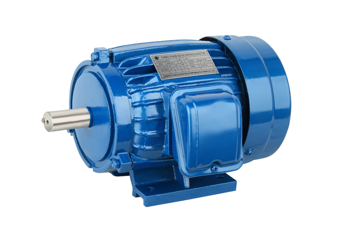 Y SERIES THREE PHASE INDUCTION MOTOR