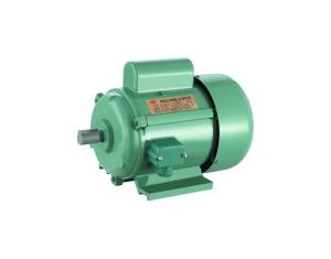 JY SINGLE PHASE CAPACITOR START INDUCTION MOTOR