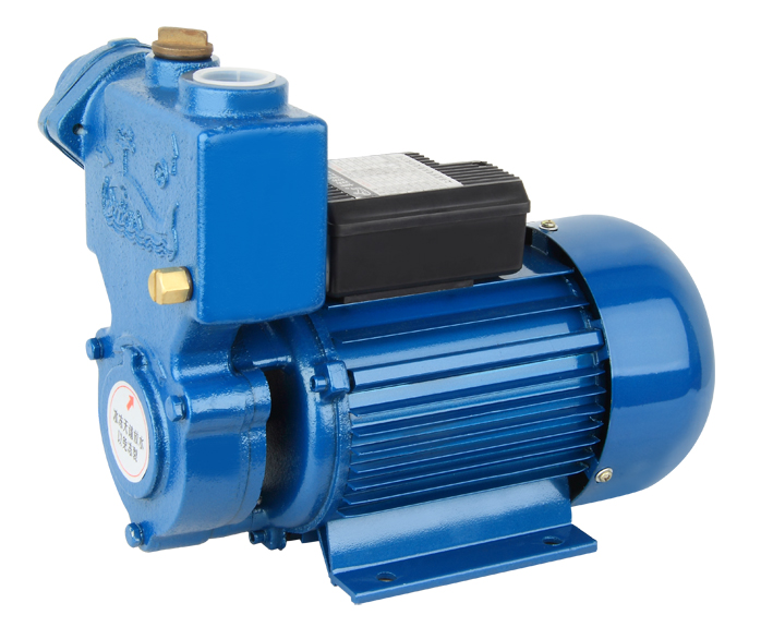 WZB SERIES WATER PUMP