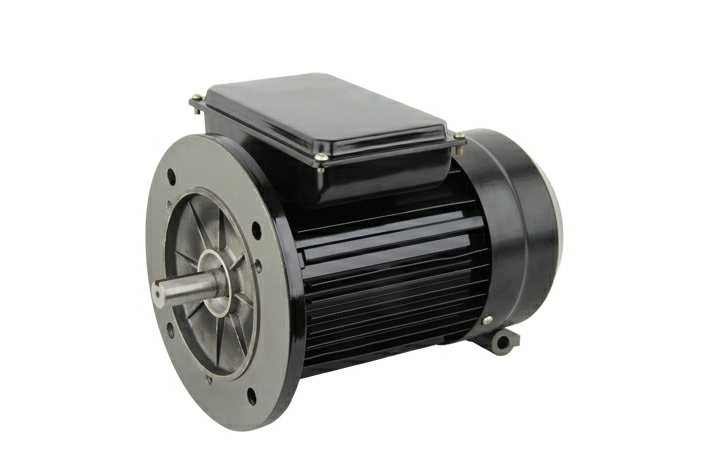 YL -B5SEREIES SINGLE PHASE TWO CAPACITOR MOTOR