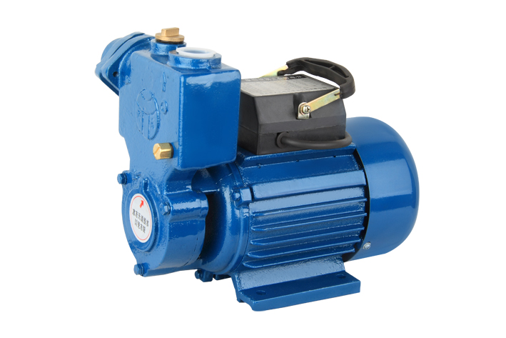 WZB SERIES WATER PUMP