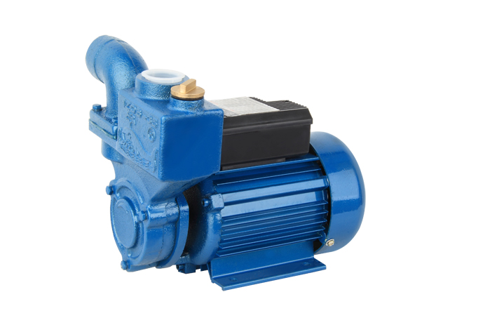 WZB SERIES WATER PUMP