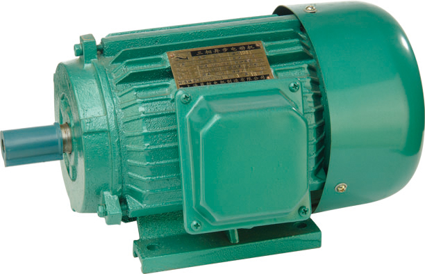 Y SERIES THREE PHASE INDUCTION MOTOR